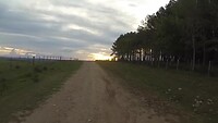 Sunset and horses