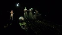 More of the lightshow at Jesuit ruines