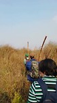 Searching for the sloth bear