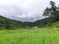 Omgeving Anandaban Hospital