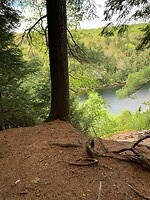 Uitzicht op Jack Lake
