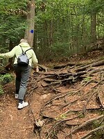 De Hemlock Bluff Trail
