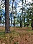 Bij picknickplaats aan meer bij Gravenhurst