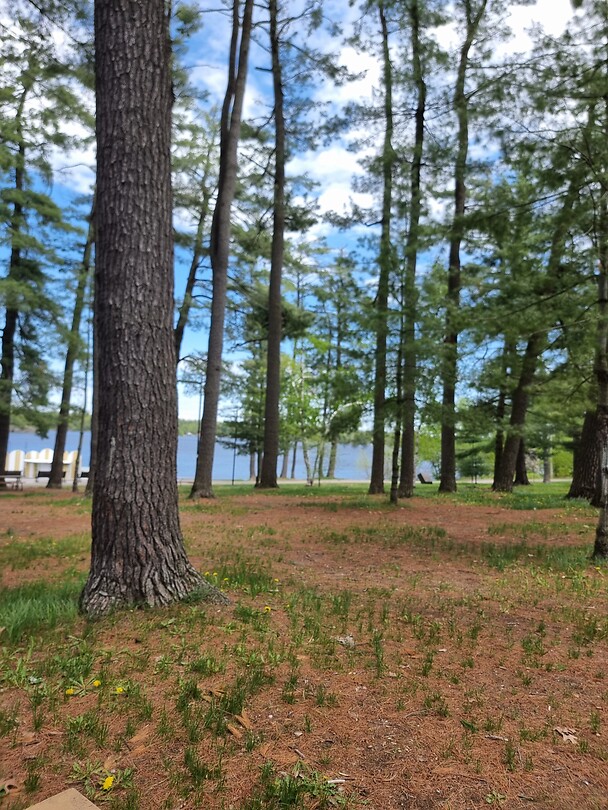 Bij picknickplaats aan meer bij Gravenhurst