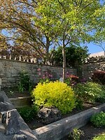 Tuin bij rivier