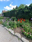 Shakespeare garden