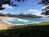 De achtertuin in Kiama