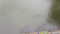 20180706_155151