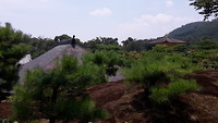 20180716_123226