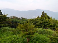 IMG_20180717_173124001_HDR