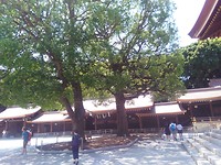 IMG_20180720_123259108