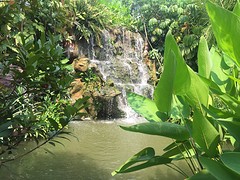 Waterval