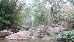 Waterval