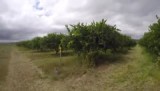 Farm work part 2!