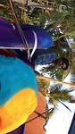 Carnaval in Goa