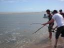 beure mar bosmaaier