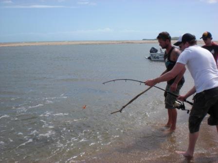 beure mar bosmaaier