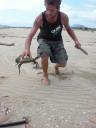 brokkie crab