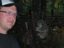 misselijke koala ( hij zat vastgebonden)