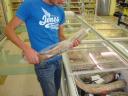 Kangaroe staart in supermarkt lekker hoor