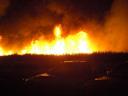 cane fire
