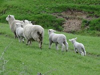 DSC05090