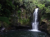 DSC04994