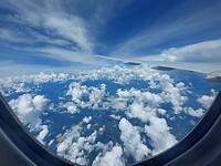 1000059571