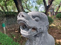 1000061345