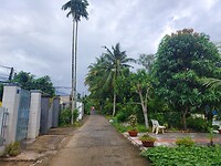 1000062979