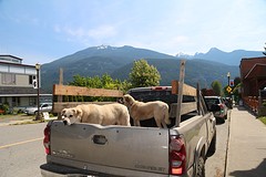 Straatbeeld in Kaslo