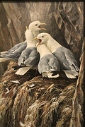 Schilderij van Robert Bateman