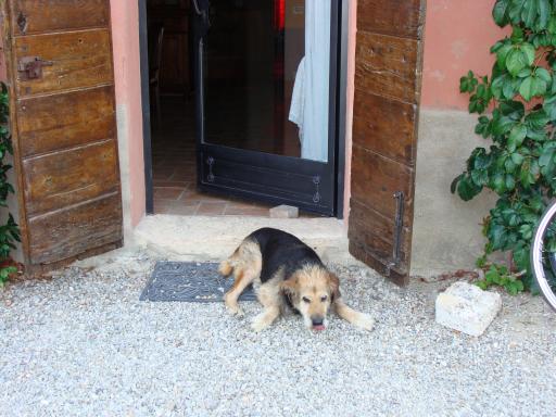 Agriturismo Sant'Alberto
