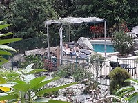 B&B tuin licuala lodge