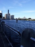 Brisbane sky line