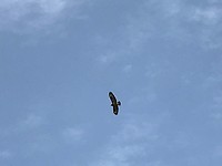 F9599F6F-EA82-44AA-82F4-47241E69AC9E