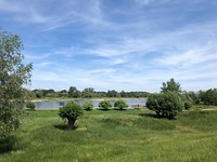 De Elbe