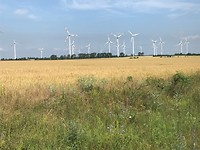 Windmolens in het landschap