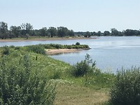 De Elbe
