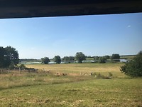 Uitzicht vanaf ons bankje bij de Imbiss