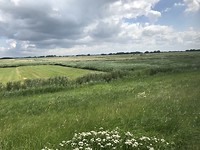 Onderweg naar Dangast