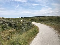 Duinenlandschap