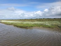 Andere kant van Schiermonnikoog