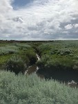 Schiermonnikoog