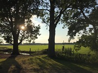 Uitzicht vanuit ons appartement in de boerderij op Schardam