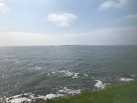 380C5E8D-EE60-45DF-B274-159D4E1D1E9C