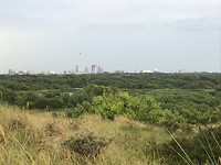 Zicht op Den Haag vanuit duinen