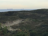 Zicht op Noordzee vanuit duinen
