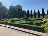Nog een keer onze achtertuin in Dordrecht