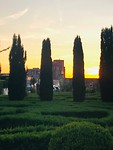 Tuin bij ondergaande zon